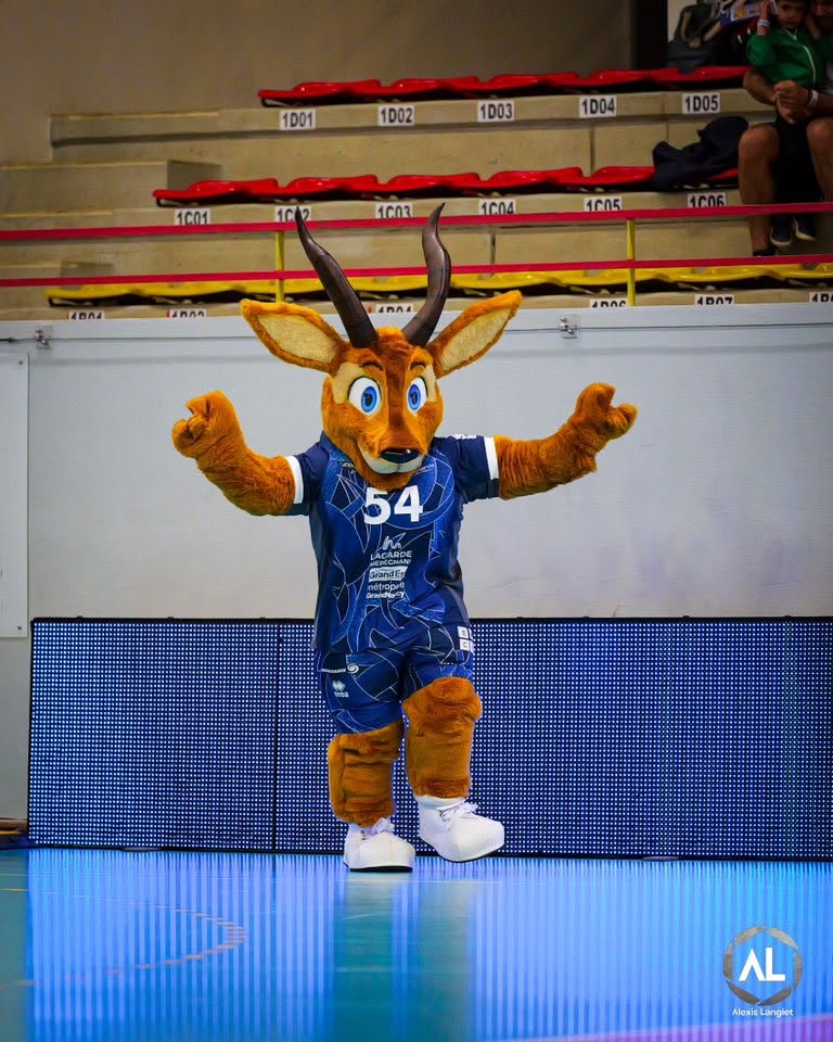 activation mascotte